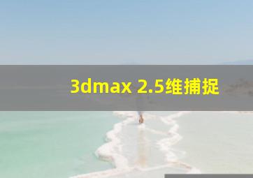 3dmax 2.5维捕捉